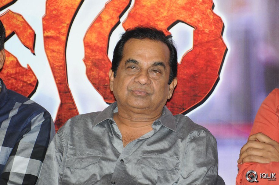 Loukyam-Movie-Platinum-Disc-Function